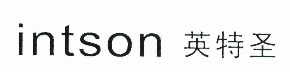 英特圣 INTSON