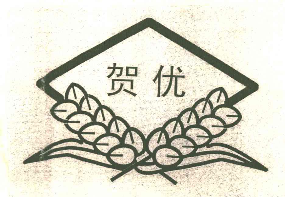 贺优