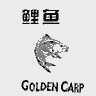 鲤鱼  GOLDEN CARP