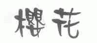 樱花