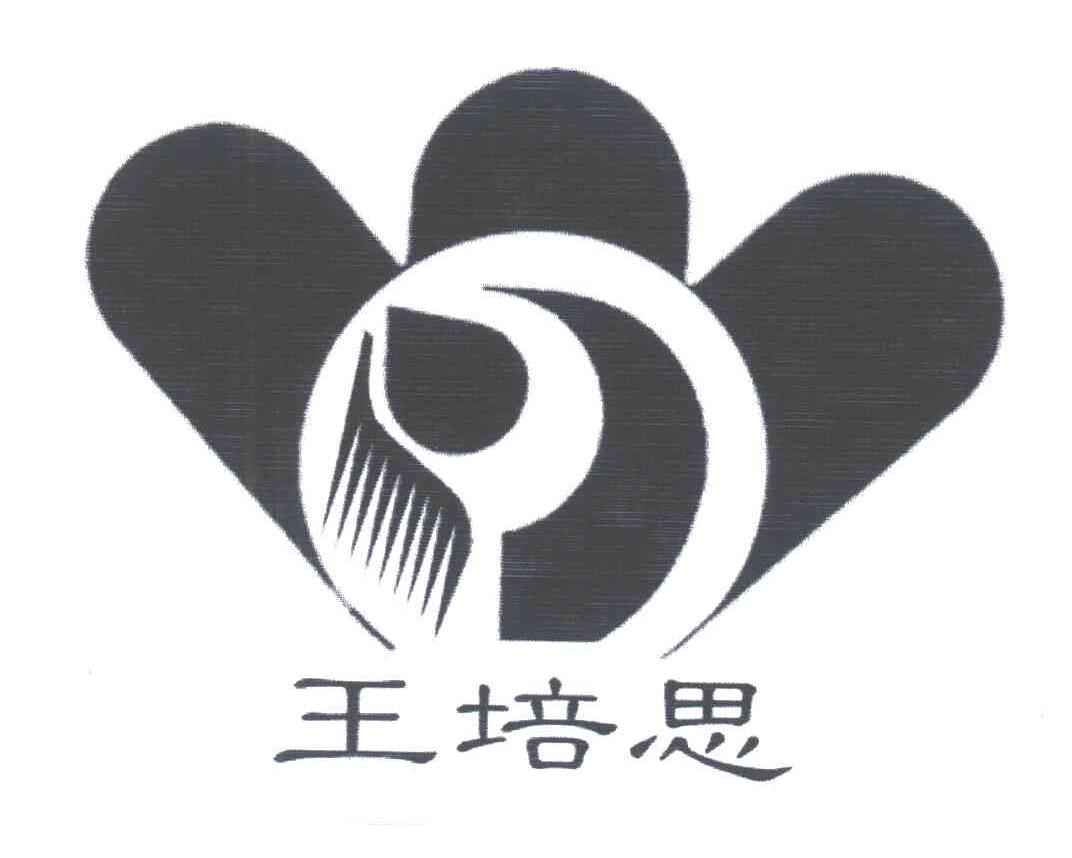 王培思