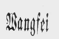WANGFEI