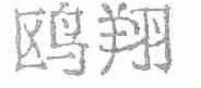 鸥翔