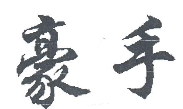 豪手