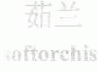 茹兰;SOFTORCHIS