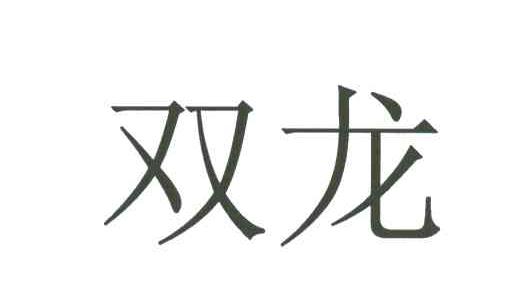 双龙