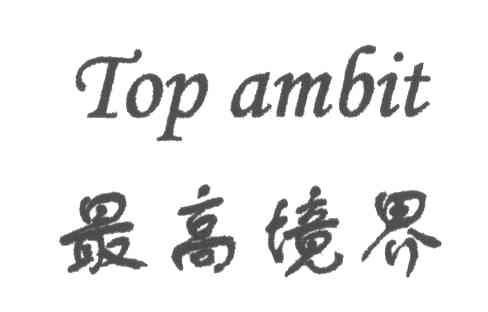 最高境界;TOP AMBIT