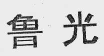 鲁光