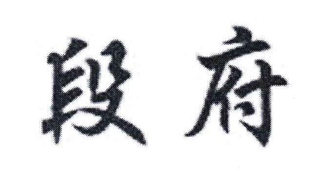 段府