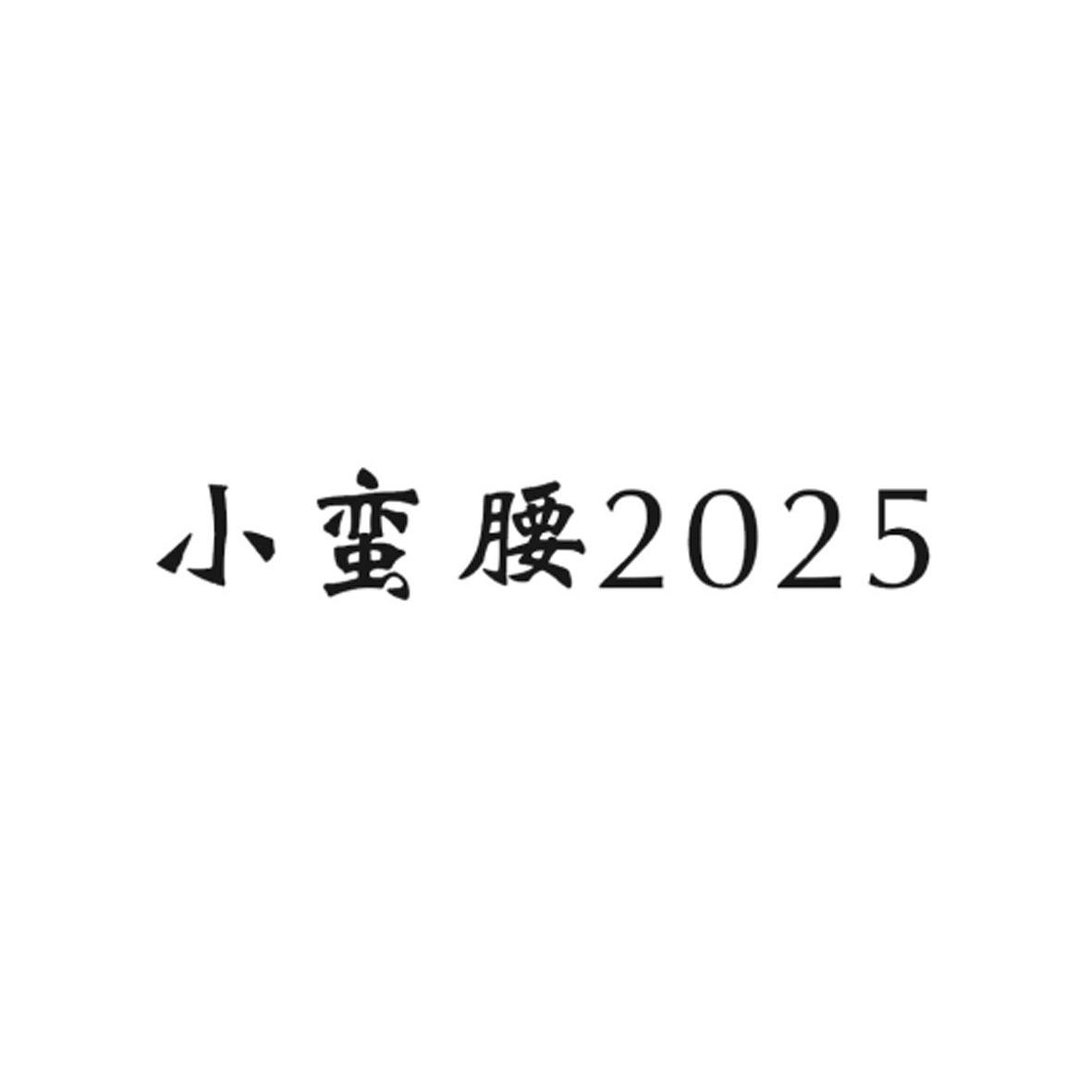 小蛮腰 2025