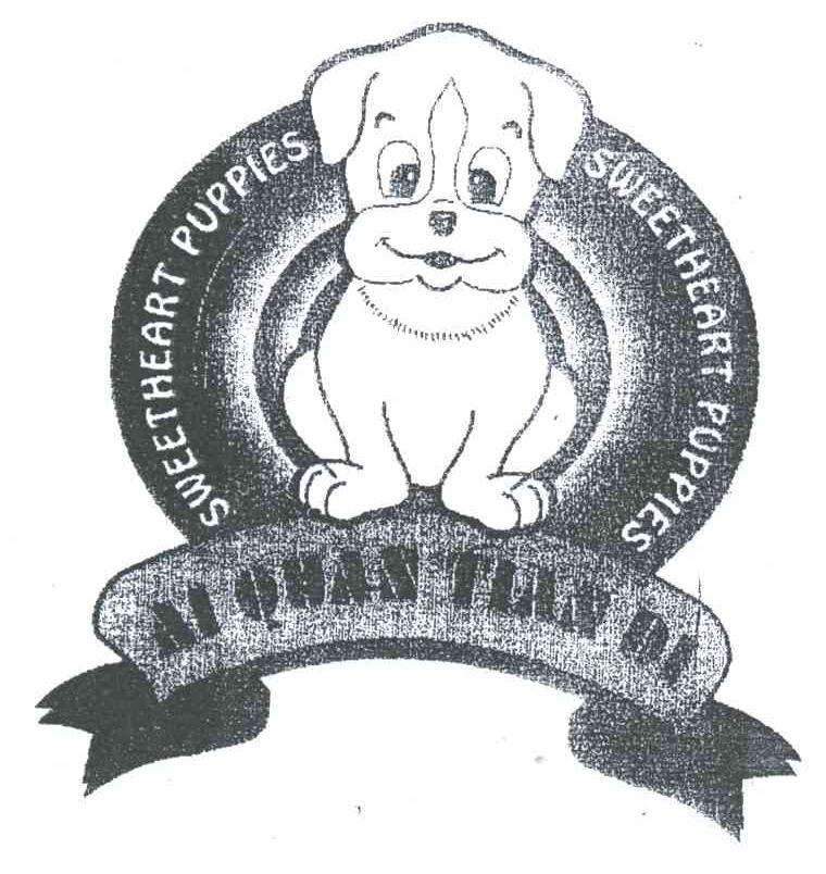 AI QUAN TIAN DI;SWEETHEART PUPPIES