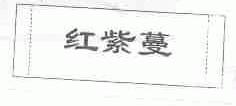 红紫蔓