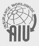 AIU  INSURANCE WORLDWIDE
