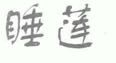 睡莲