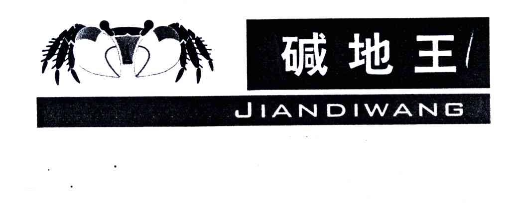碱地王