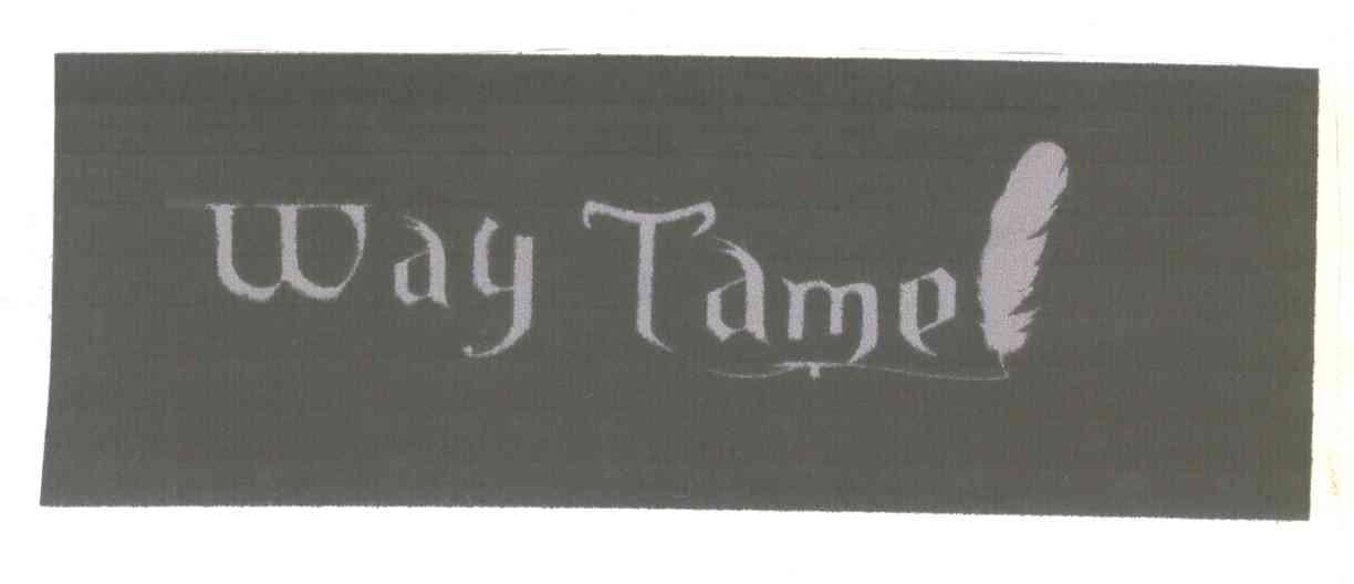 WAY TAME