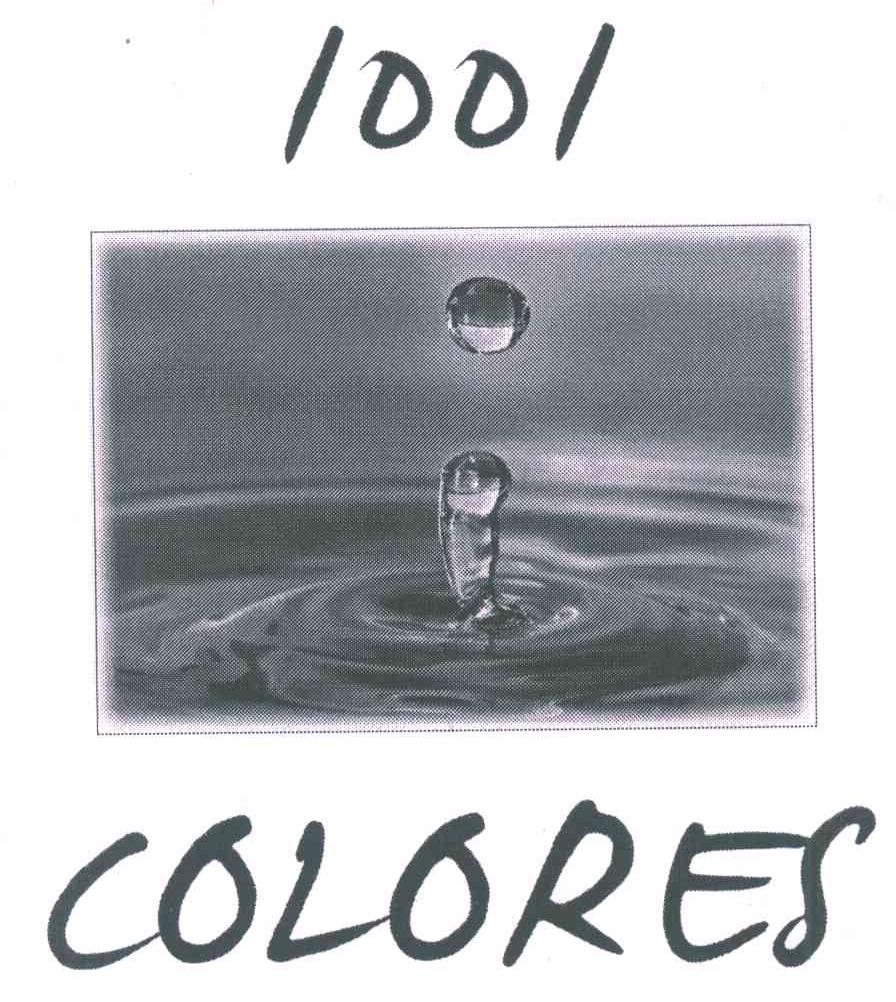 1001 COLORES