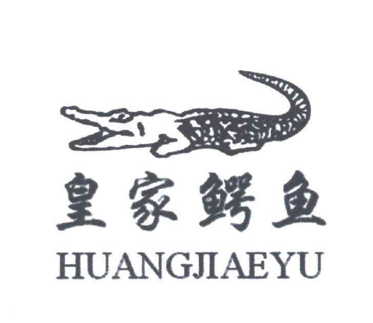 皇家鳄鱼