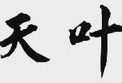 天叶
