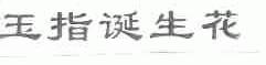 玉指诞生花