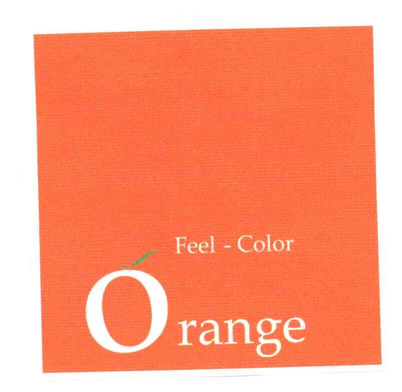 FEEL COLOR ORANGE