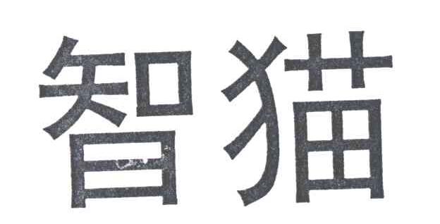 智猫