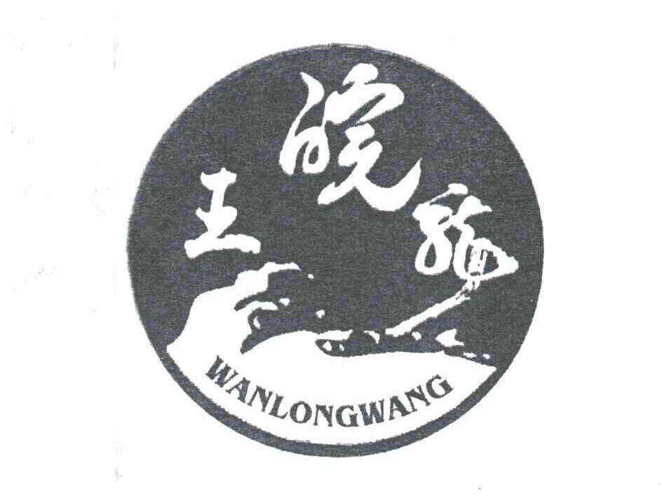 皖龙王