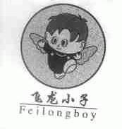 飞龙小子;FEILONGBOY