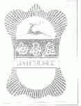 白唇鹿