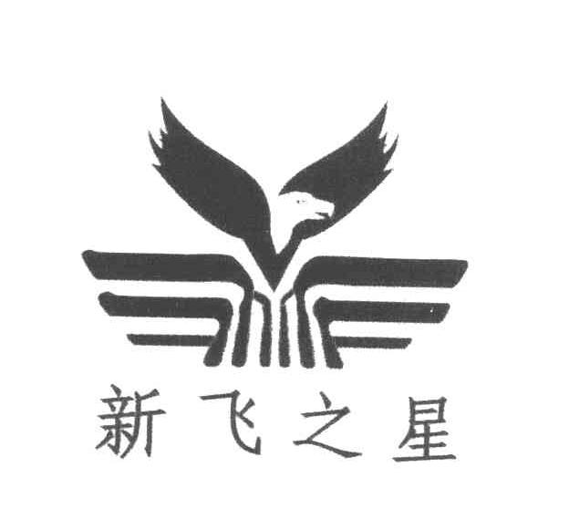 新飞之星