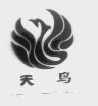 天鸟