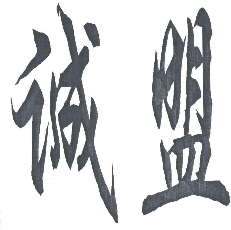 诚盟