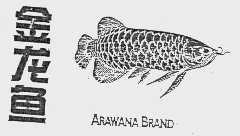金龙鱼;ARAWANA