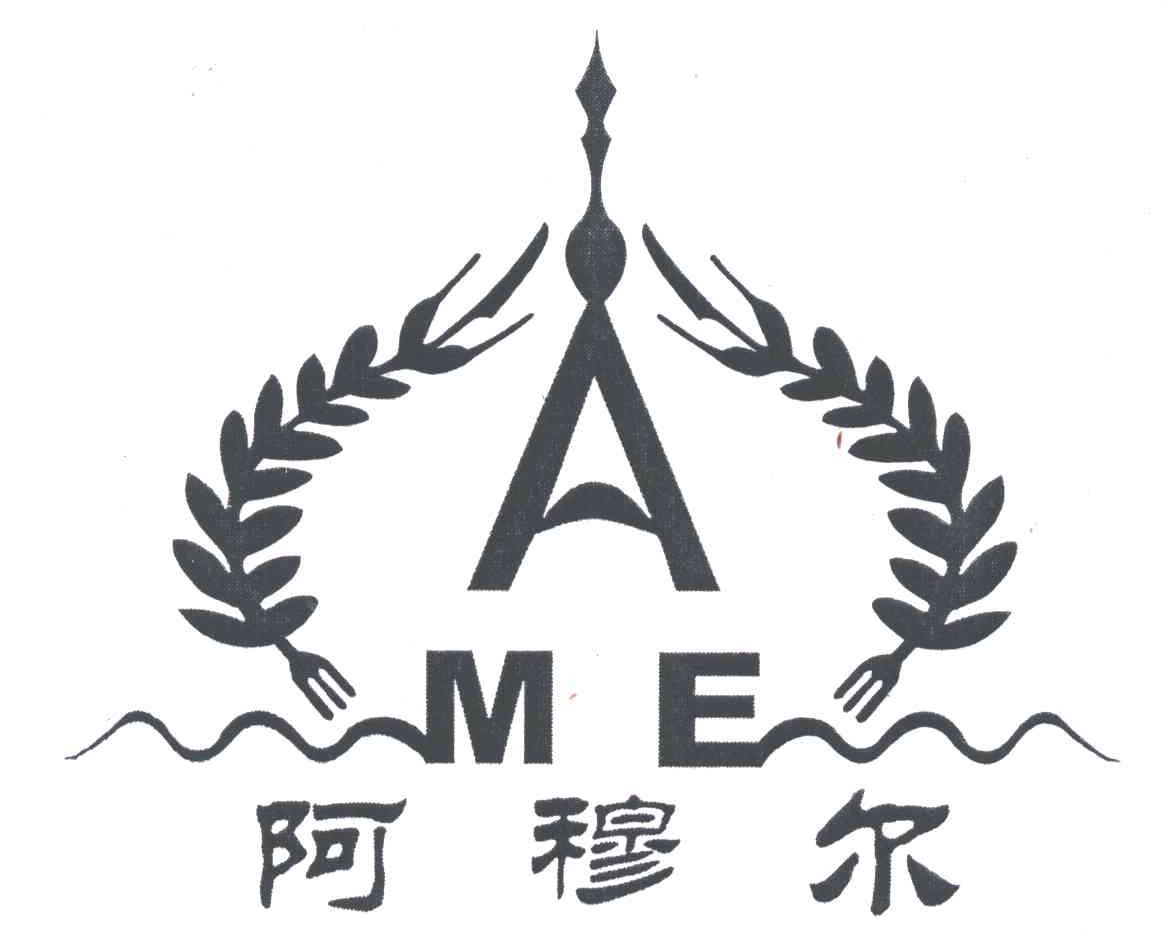 阿穆尔;AME