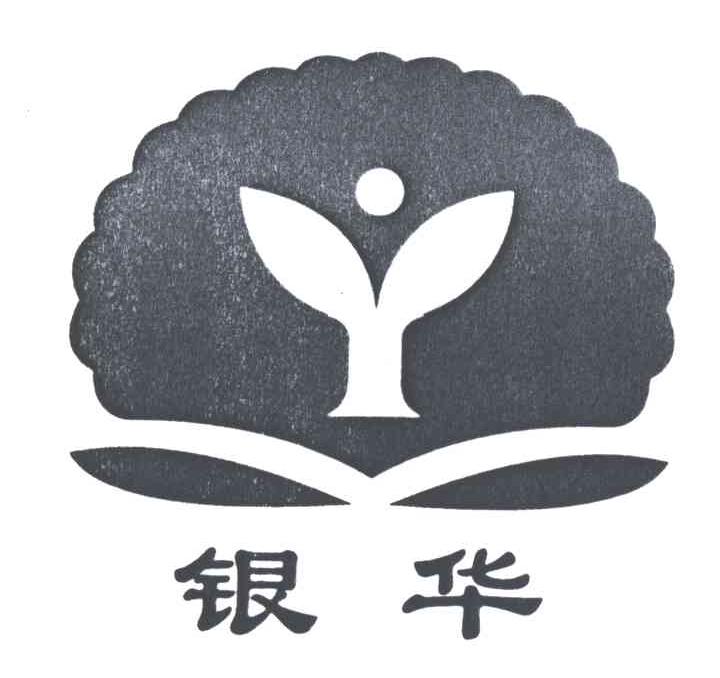 银华