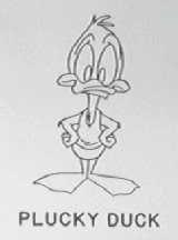 PLUCKY DUCK