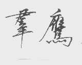 群鹰