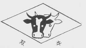 双牛
