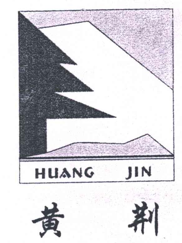 黄荆;HUANG JIN