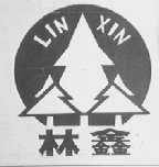 林鑫