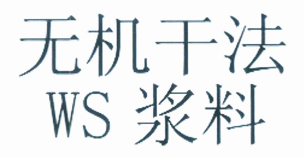 无机干法 浆料 WS