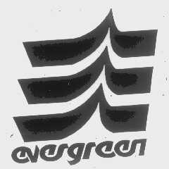 EVERGREEN