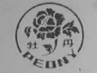 牡丹  PEONY
