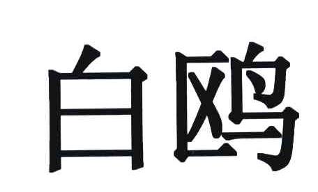 白鸥