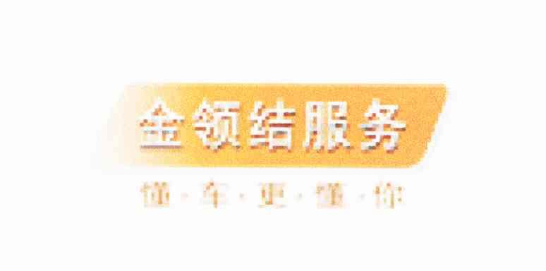 懂车更懂你 金领结服务