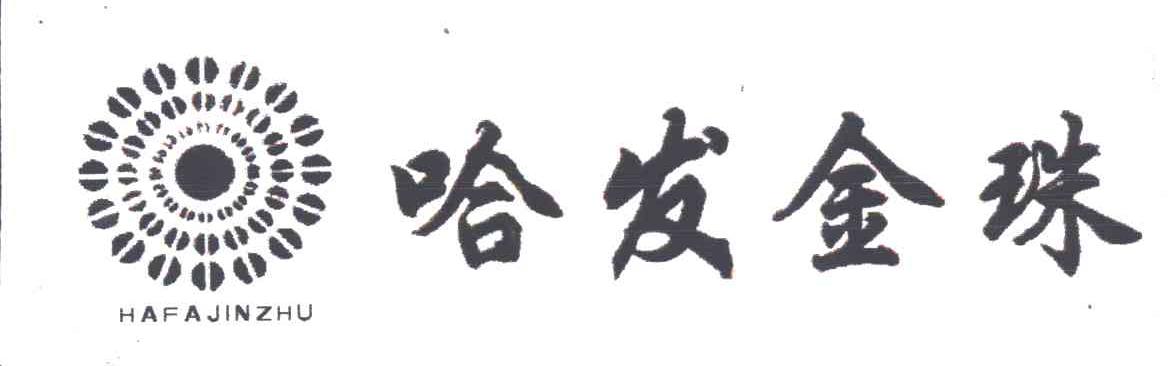 哈发金珠