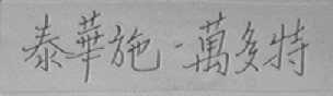 泰华施-万多特