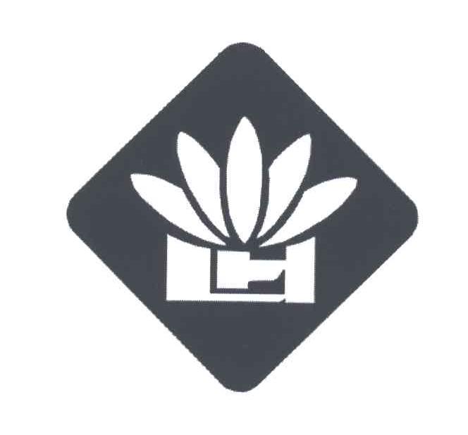 图形
