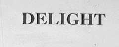 DELIGHT