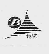 银豹